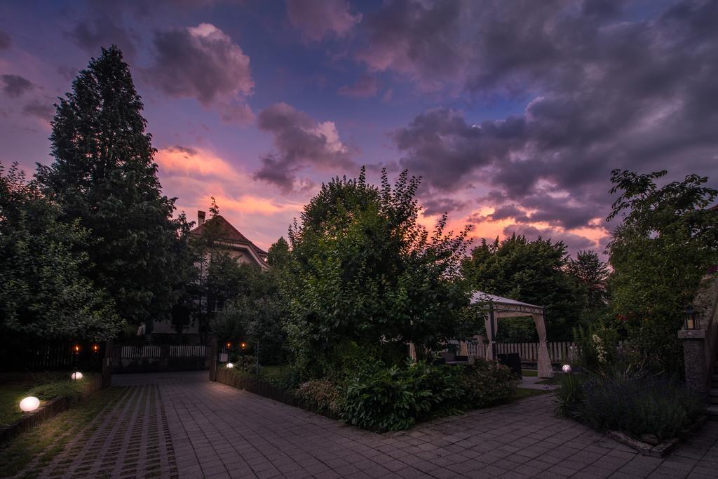 Max Aviation Villa & Apartments Bern Bagian luar foto